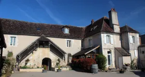 Image of Domaine Borgnat