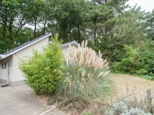 Image of Elite Holiday Home in North Holland Near Forest