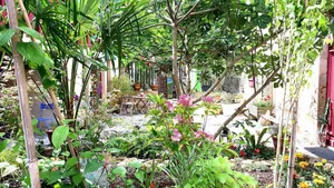 Image of Maison Lisote