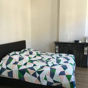 Image of B&B Check Mate