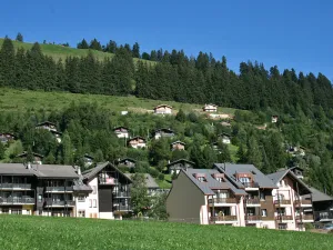 Image of Androm de 2-pi ces A24 Gruy res