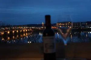 Image of FREE Parking - Self Checkin - WIFI - DUPLEX LA FUSTERIE - SUPERBORDEAUX