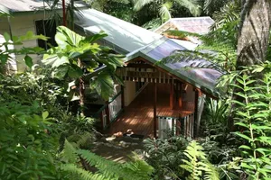 Image of Daintree Secrets Rainforest Sanctuary