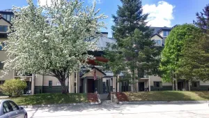 Image of Rivergreen Resort