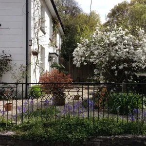 Image of Clayhill House