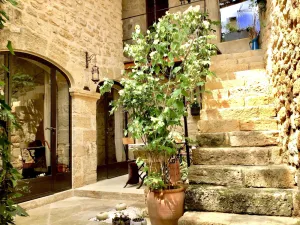 Image of Un Patio en Luberon