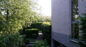 Image of Elmazzz