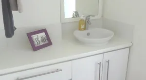 Image of La cigale et la sardine