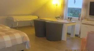 Image of Garden Of Eden