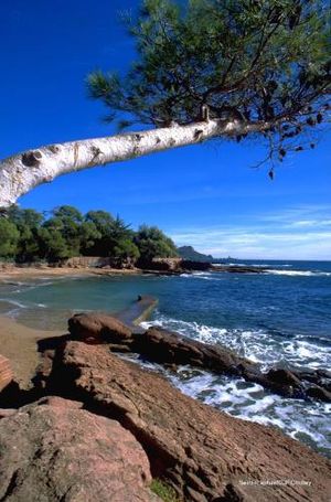 Image of Pause de Charme a deux pas de la Mer