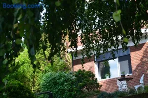 Image of Die Eiche