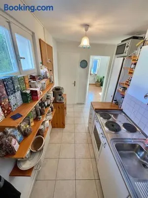 Image of Nice Central Entire Appartement with Plants at the Rheinfalls