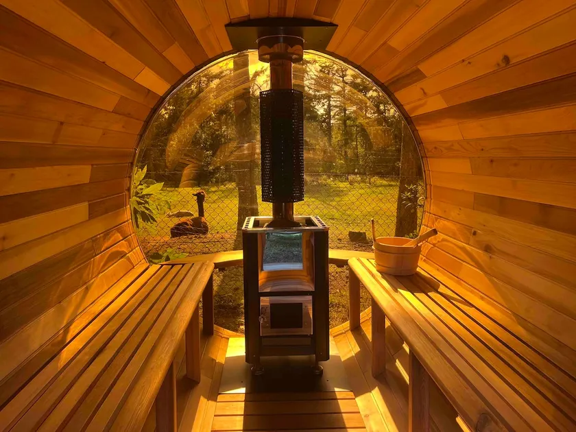 Veluwe Forest House: sauna, ”hot tub”, privacy & alpacas - Image 1