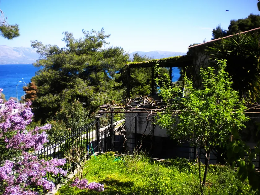 ILIOCHARI sea view apartments Oropos - Kalamos - Image 1