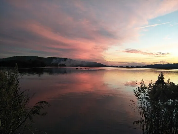 Pelican's Turning: Riverview Elegance in Maclean - Image 1