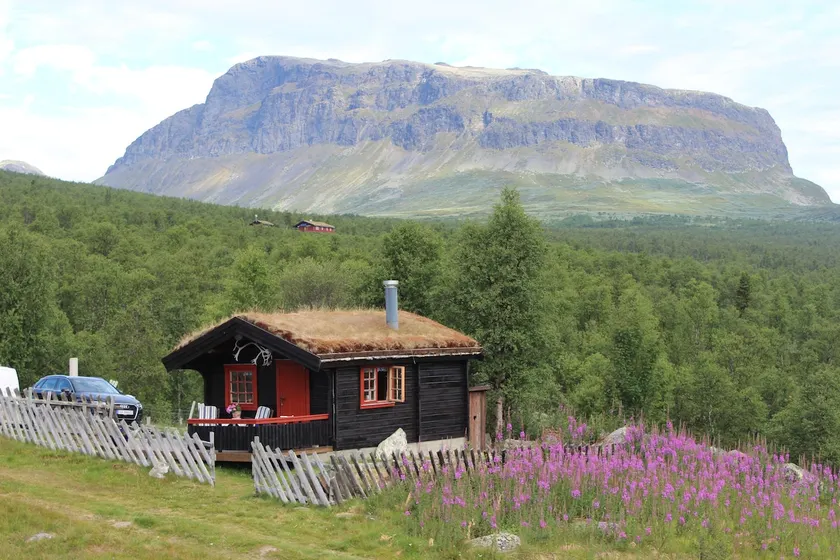 Mountain cabin at summerfarm with cows and pigs - Image 1