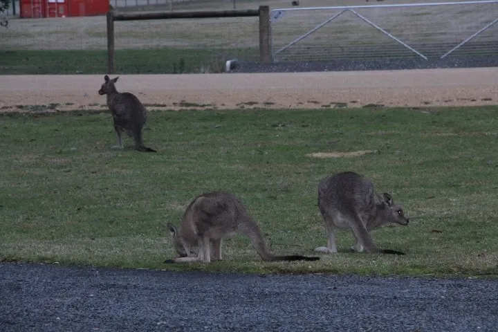 Turners Retreat - Image 1