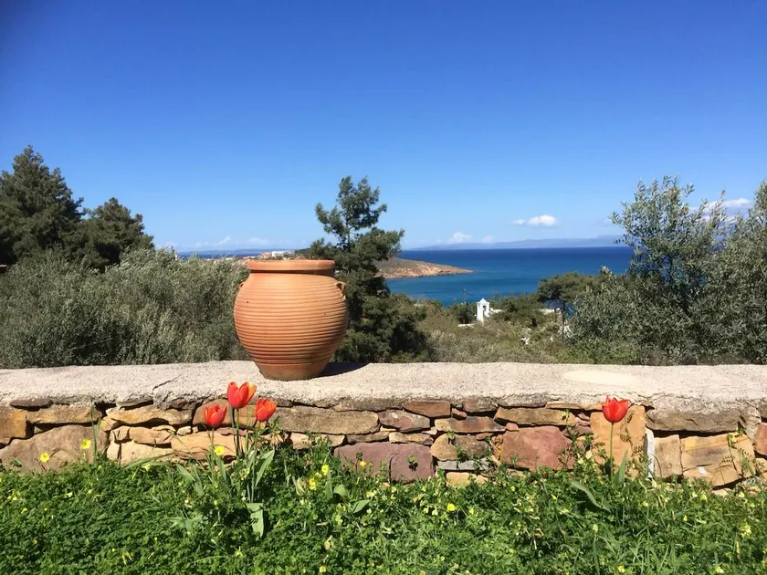 Wonderful apartment with garden & barbeque | Beach nearby | Dogs allowed - Image 1