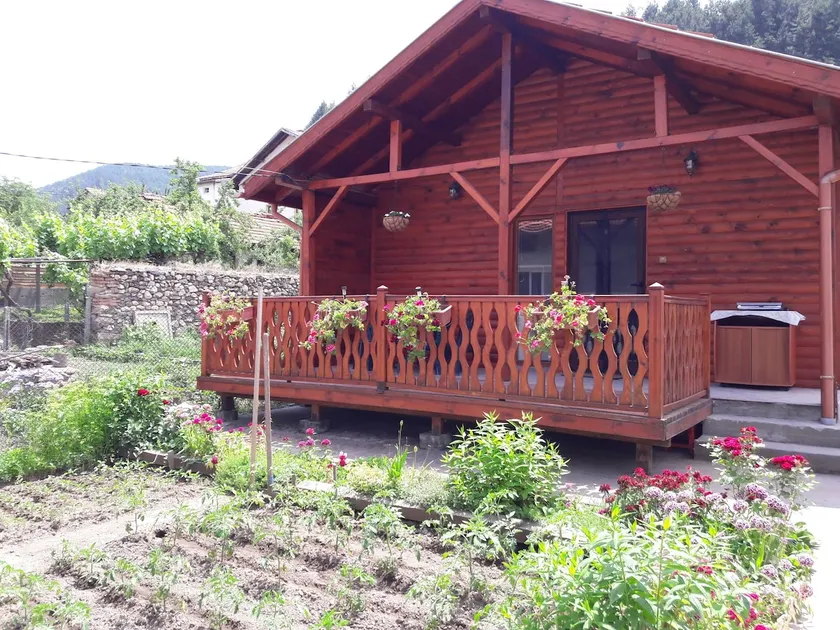 Wooden cozy house for your amazing experiences - Image 1