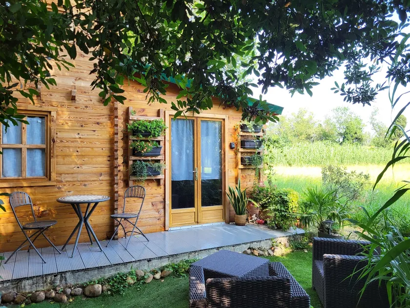 Treehouse - Image 1