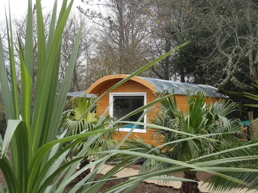 Marosenia - Cabin & Spa SURF - Bed and Breakfast - Image 1
