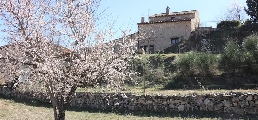 La Pallissa de Cal Solé - Image 1