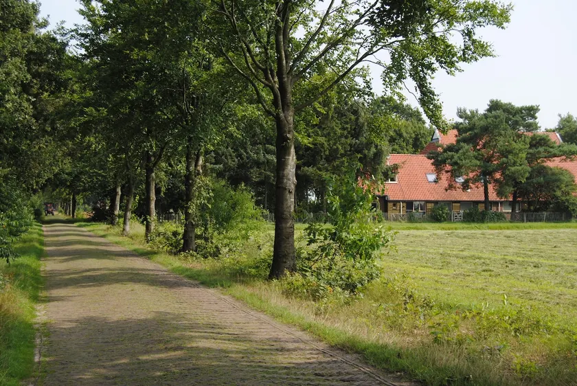 Lovely farmhouse in Drents Friese Woud - Image 1