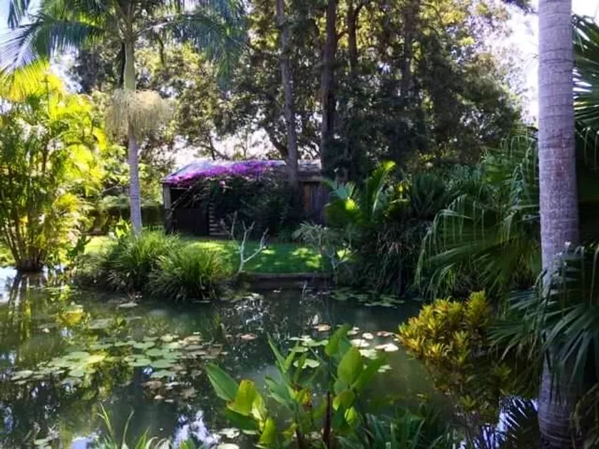 Crystal Cottage Retreat- Escape to the Hinterland! - Image 1