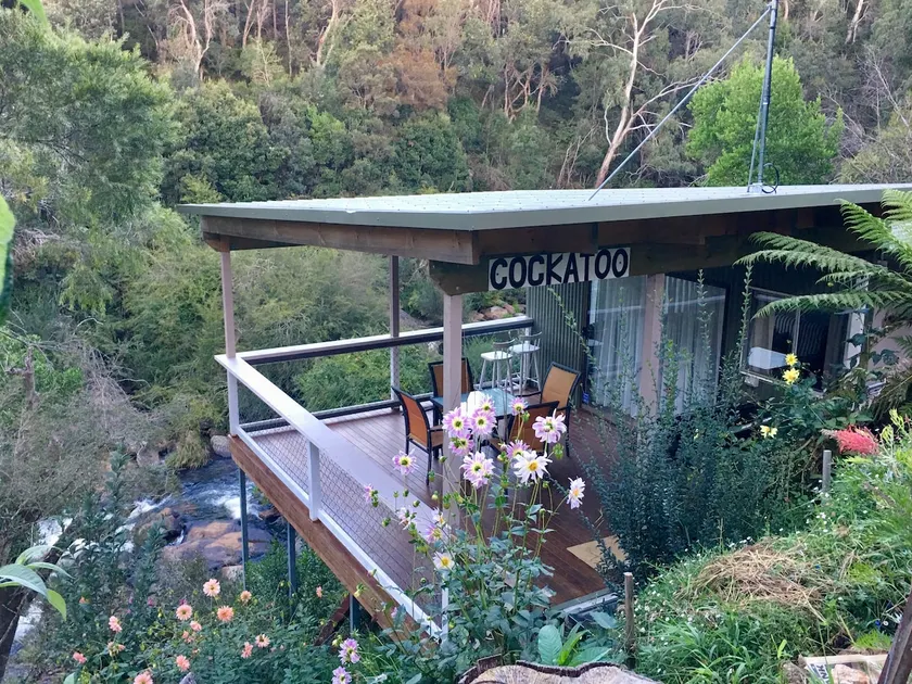 Dorrigo Waterfall Cabins - Cockatoo Cabin - Image 1
