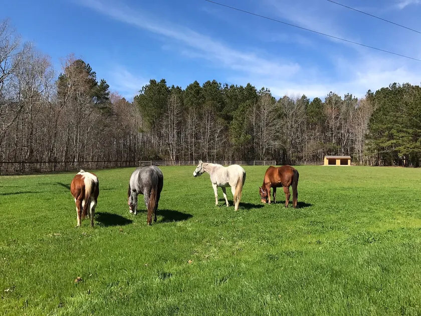 Heartsong Farmhouse , a nature lover's retreat. - Image 1