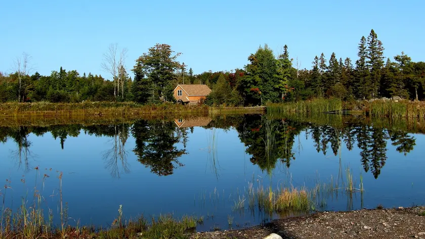 Holidays at 4 Season Log Cottage in Nature! - Image 1