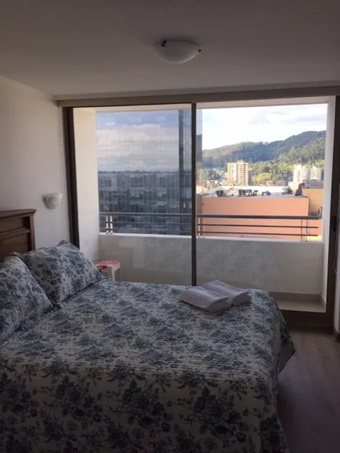 Furnished Concepcion Full Central Apartment - Image 1