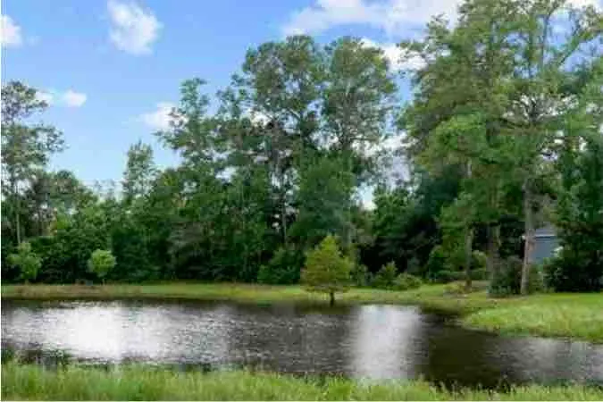 Stocked pond, canoe,hot tub,Ren Faire close - Image 1