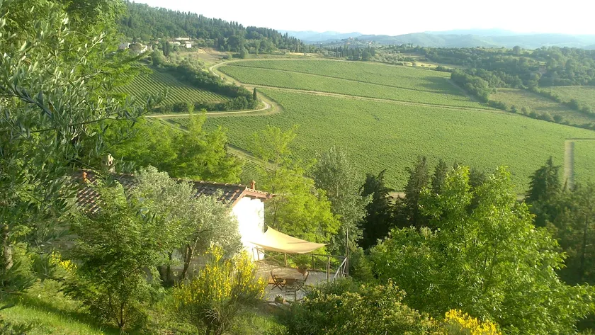 Vineyard cottage, 30 minutes to Florence - Image 1