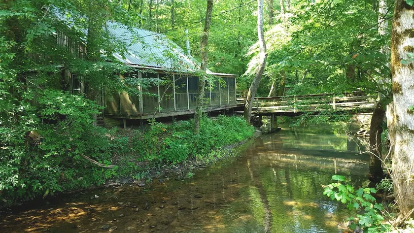 Cabin on Honeycomb Creek - Image 1