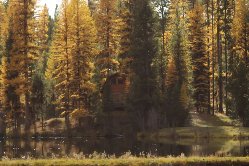 ”Elk's Run” cozy cabin nestled in the pines - Image 1