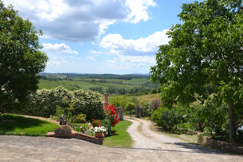 OLIVE TREE APARTMENT - CHIANTI - Image 1