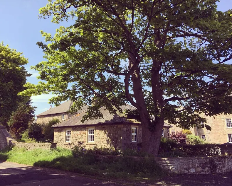 West Lodge Holiday Cottage, Beadnell - Image 1