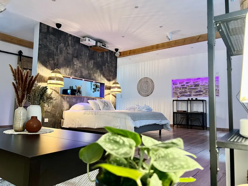 Loft with Jacuzzi and private cinema - Image 1