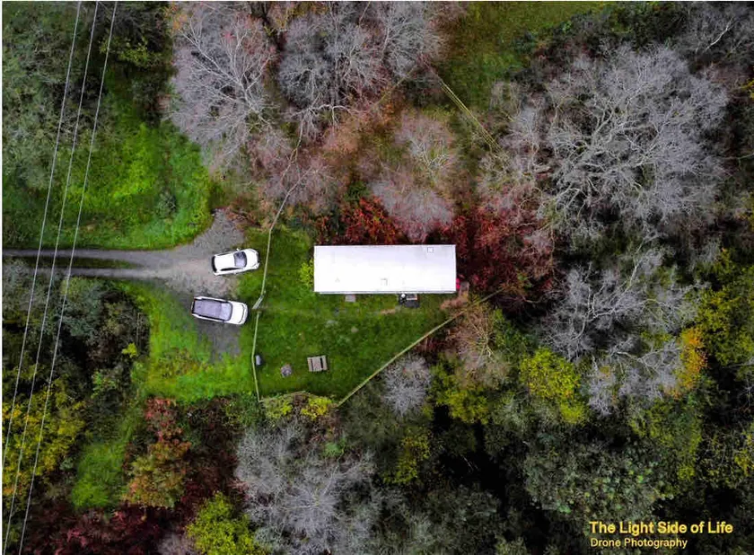 Hideaway in the Woods - Image 1