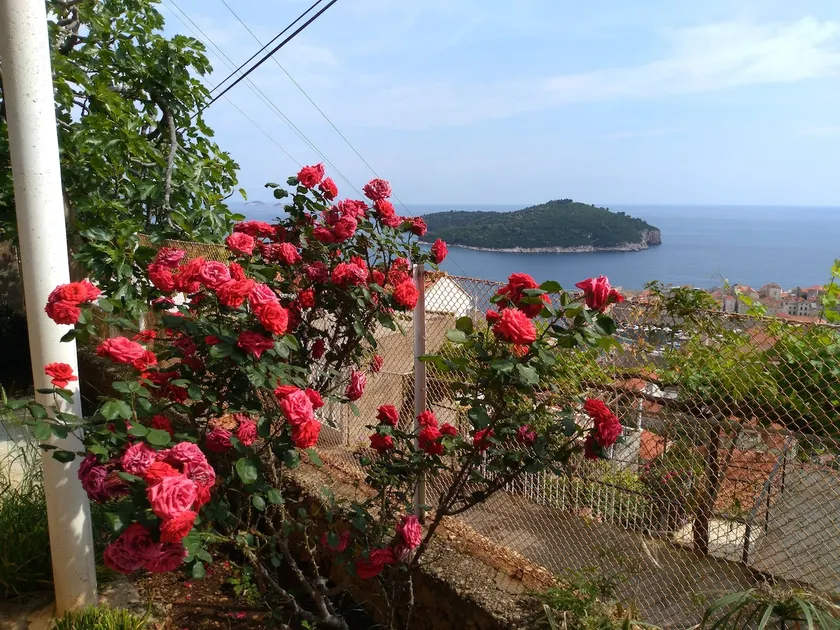 Apartment Teo - Image 1