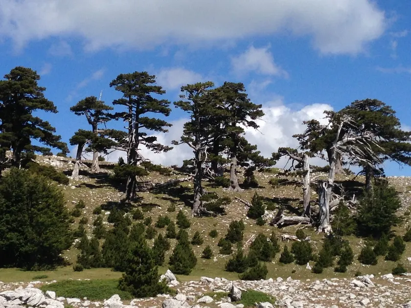 heart of the Pollino - tourist rental - Image 1
