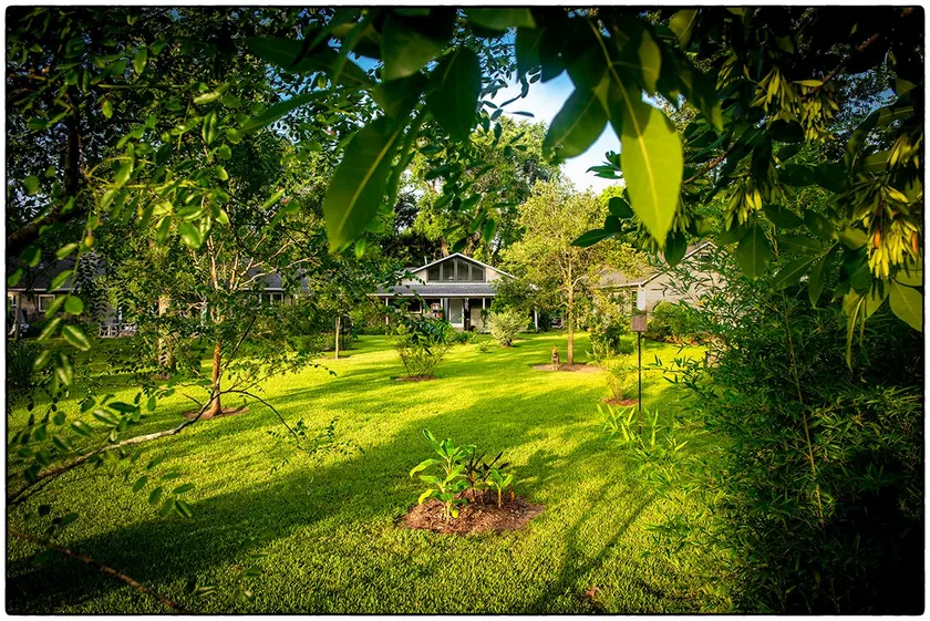 Country House in the City - Image 1