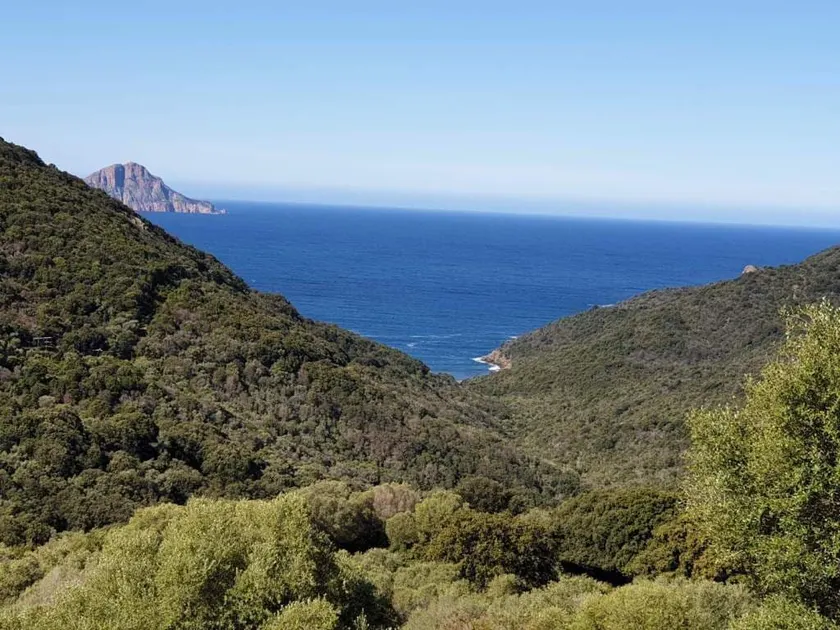 Between Porto and Girolata - Image 1