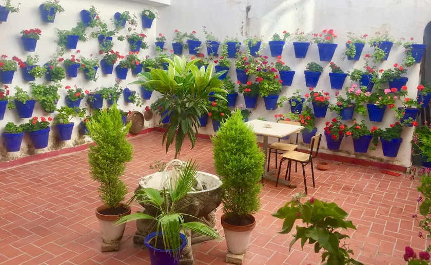 Toril Apartment. Historic Center / Free wifi. - Image 1
