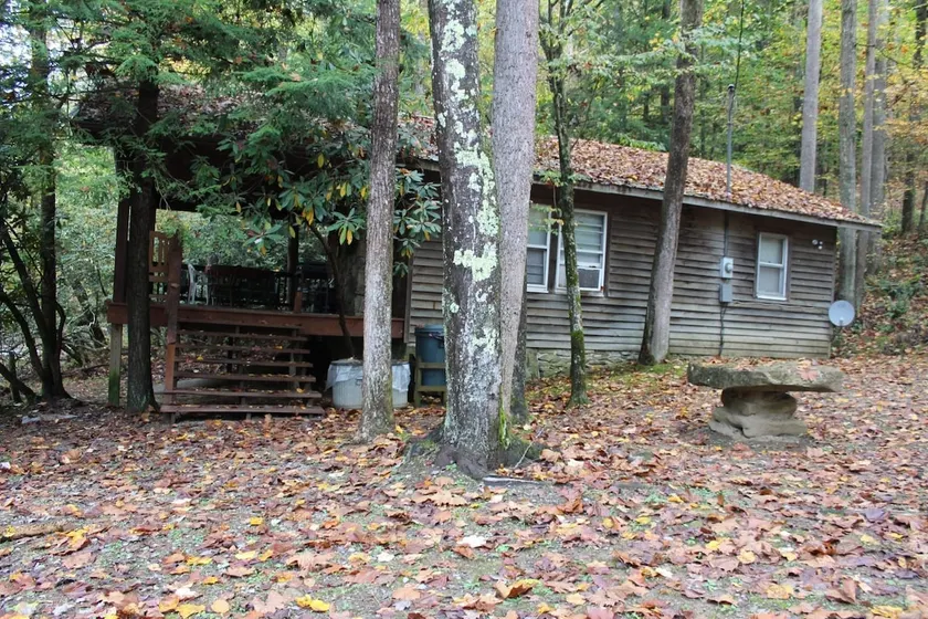 Driftwood Cabin in Almost Heaven, Hacker Valley WV - Image 1