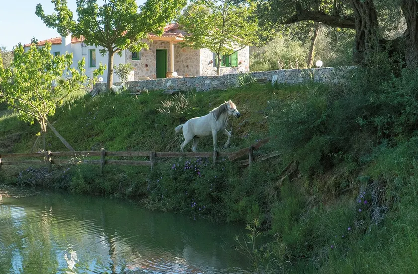 Villa Elia - Image 1