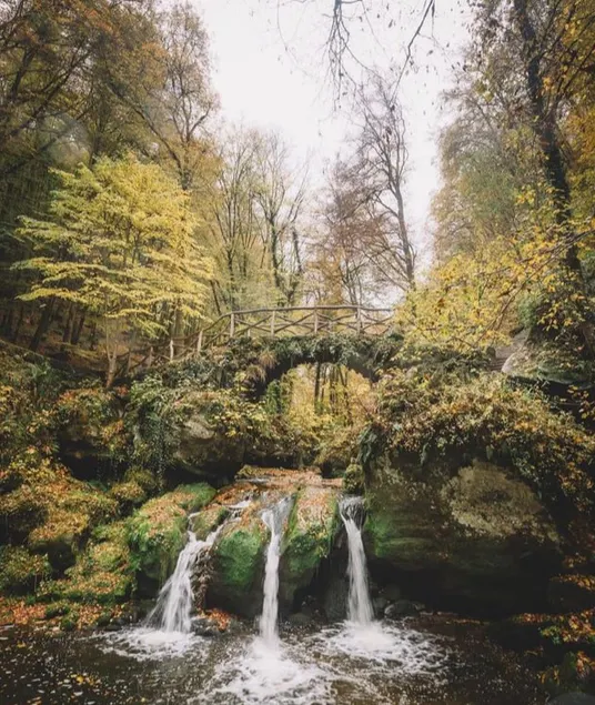In the heart of the Mullerthal - Image 1