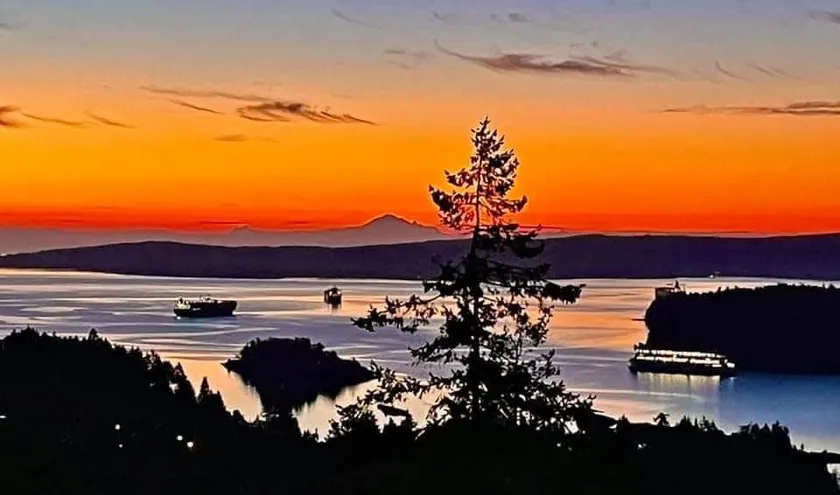Malahat Mountain Retreat, gorgeous views - Image 1