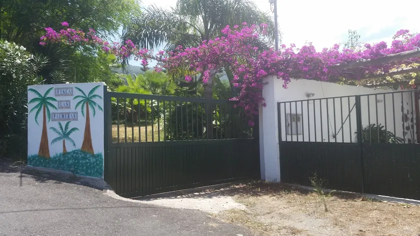 Finca las Palmeras - Image 1